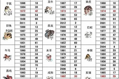 2000 年生肖|2000年属什么生肖